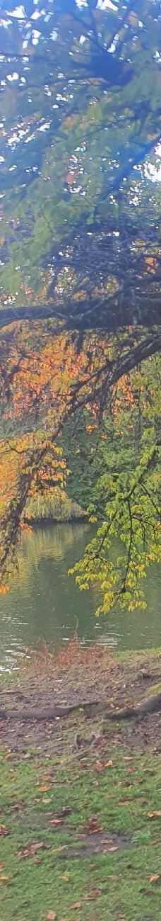 中央公园-本那比