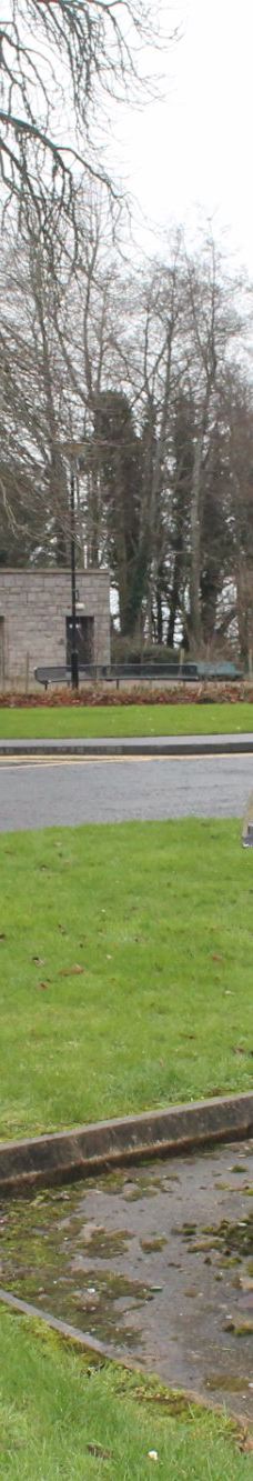 Hazelbank Park-纽敦阿比