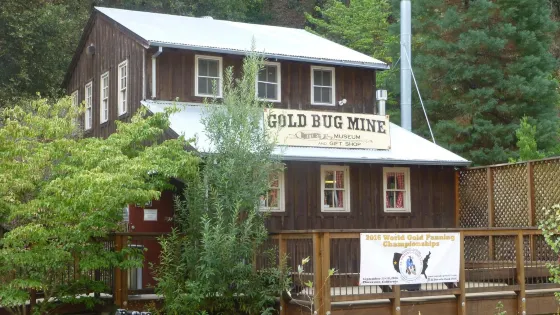 Hangtown's Gold Bug Park