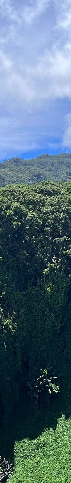 皮皮崴小径-茂宜县