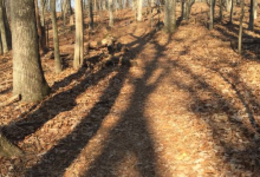 Claude Moore Park/Lanesville Heritage Area景点图片