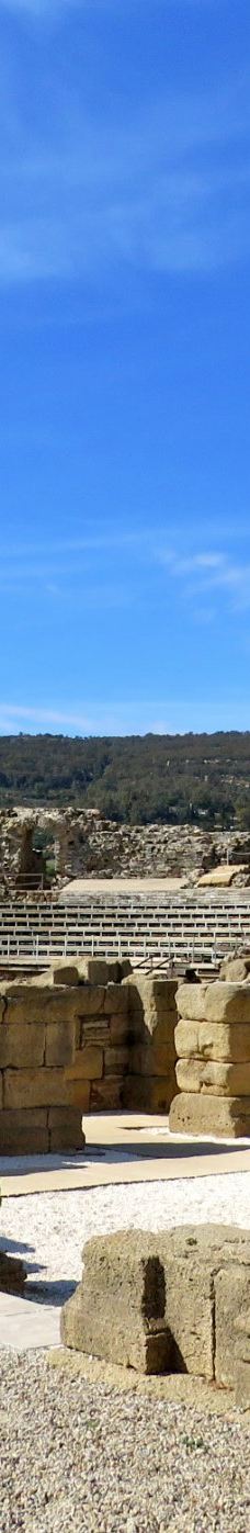 巴埃洛克劳狄亚-塔里法