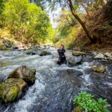 马利纳尔科图片