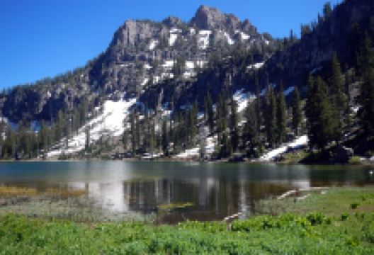 White Pine Lake景点图片