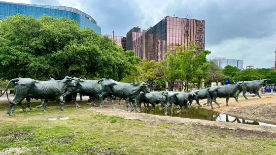 Dallas Cattle Drive Sculptures