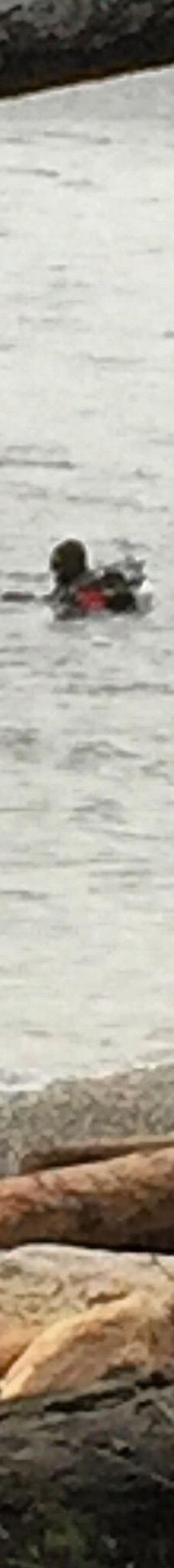 Rebecca Spit Marine Provincial Park-奎德拉岛