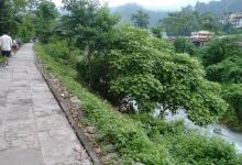 鳄鱼繁殖中心景点图片