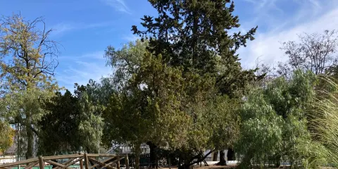 Jardim Gago Coutinho e Sacadura Cabral