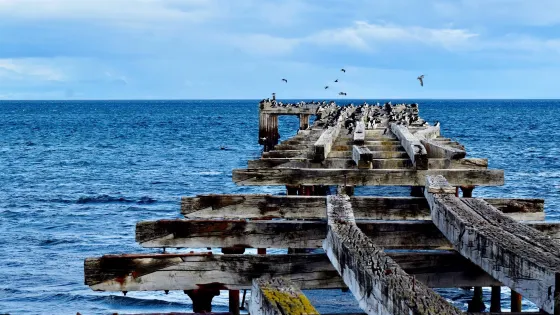 Costanera de Punta Arenas