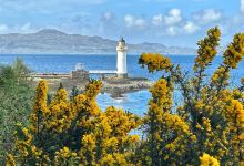 Hebridean Whale and Dolphin Trust景点图片