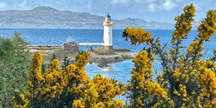 Hebridean Whale and Dolphin Trust