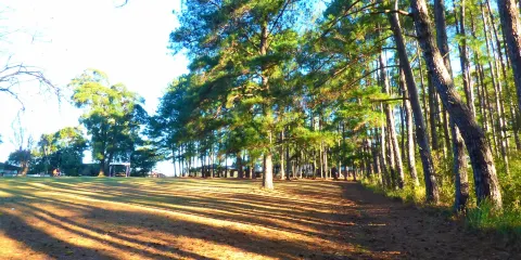 Lasiandra Park Wauchope
