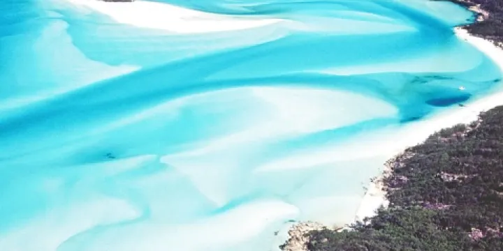 Into The Blue Gallery