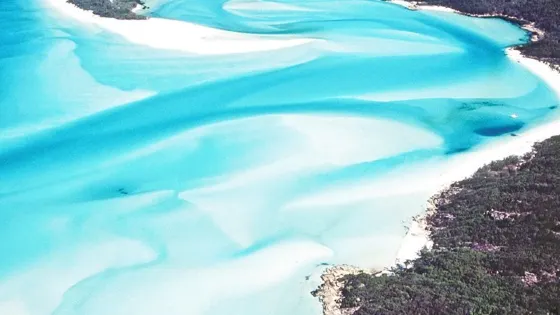 Into The Blue Gallery