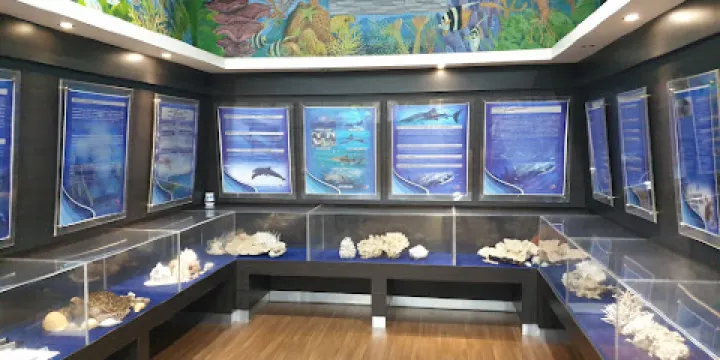 Cherating Turtle Sanctuary