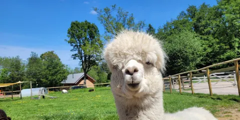 Bucklebury Farm Park