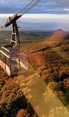 八甲田连峰树冰-青森