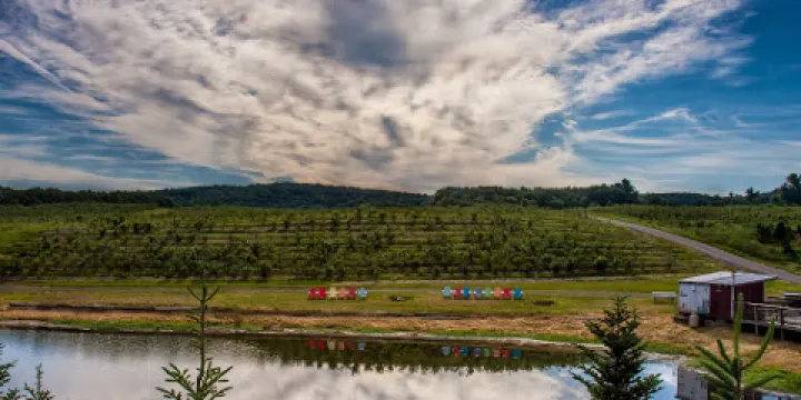 Rose's Berry Farm LLC