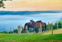 Camping La Ferme du Pelou Dordogne Périgord noir景点图片