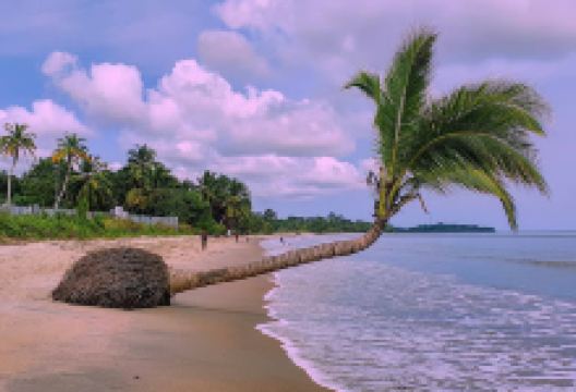 Playa La Ferme景点图片