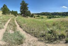 Soldier Creek Wilderness景点图片