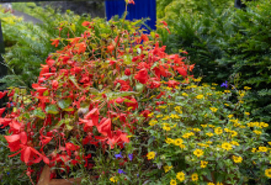 The Gardens购物图片