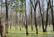 Shiawassee National Wildlife Refuge Auto Tour Entrance景点图片