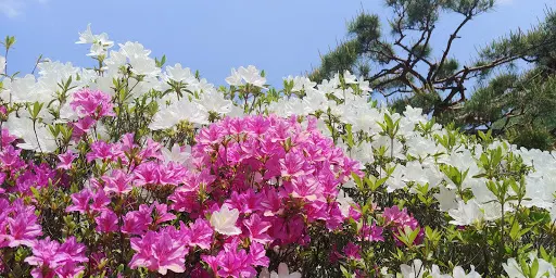 陝安觀光農園