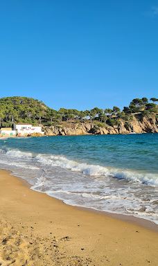 Playa El Castell-帕拉莫斯