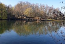 Parc des Boclets景点图片