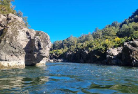 Buller Canyon Jet Boating景点图片