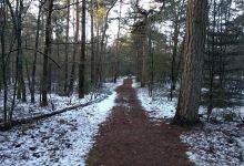 Staatsbos Staphorst景点图片