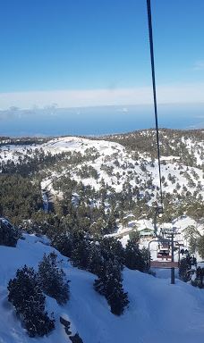 奥林匹斯山-特罗多斯山