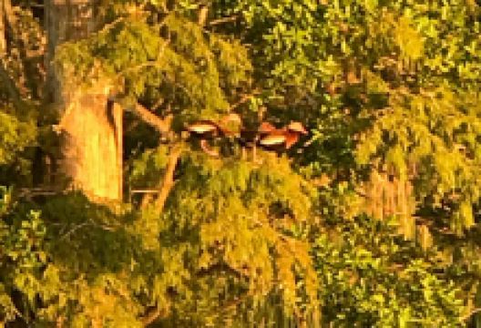 Lake Lulu景点图片