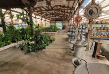 Thomas Moreno Landscape Nursery Inc购物图片