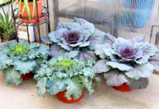 Yale Feed & Seed购物图片