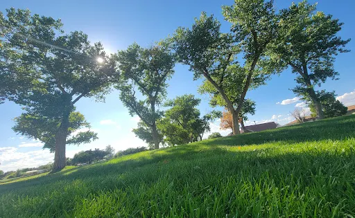 Laura Mills Park