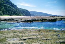 Pebbly Beach to Snake Bay walking track景点图片