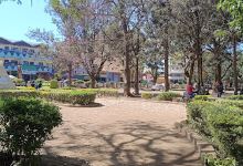 Nanyuki central park景点图片