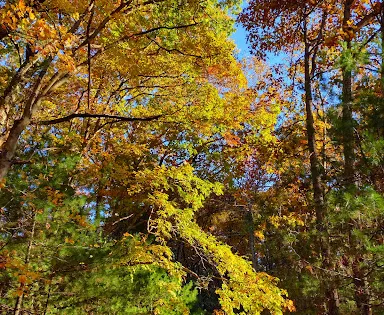 Great Meadows National Wildlife Refuge