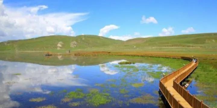 甘肅尕海則岔國家級自然保護區