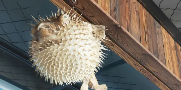 寧海縣寧海灣海洋生物博物館