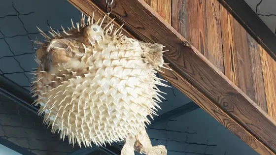 寧海縣寧海灣海洋生物博物館