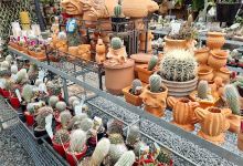 Ross Evans Garden Centre购物图片
