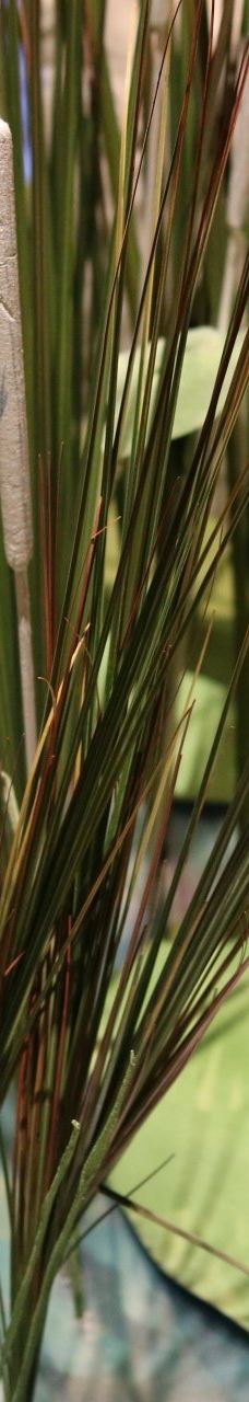 彼得兔世界-鲍内斯温德米尔