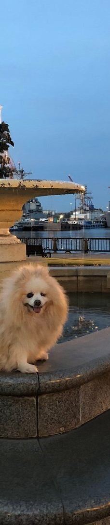 Verny Park-横须贺市