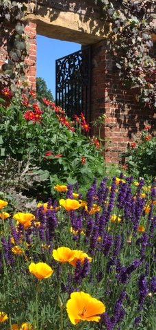 宁布鲁宫和花园-Beningbrough