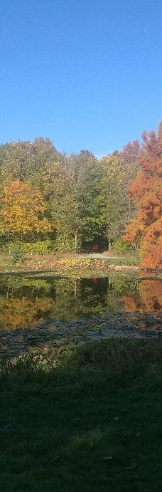 Parc des Gayeulles-雷恩