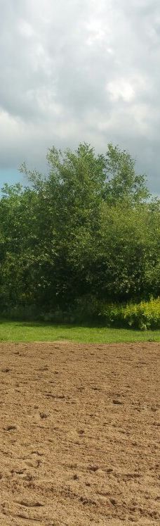 Parc des Gayeulles-雷恩