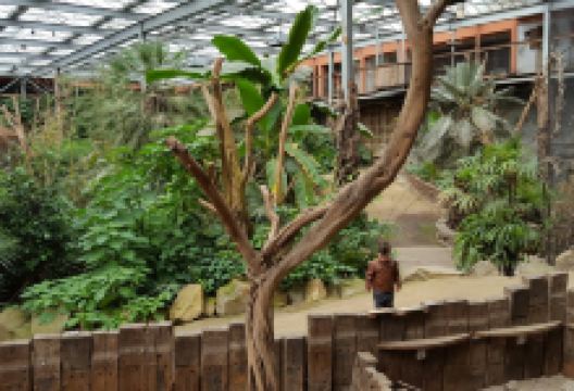 Zoo Veldhoven景点图片